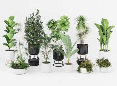 现代盆栽3D模型下载